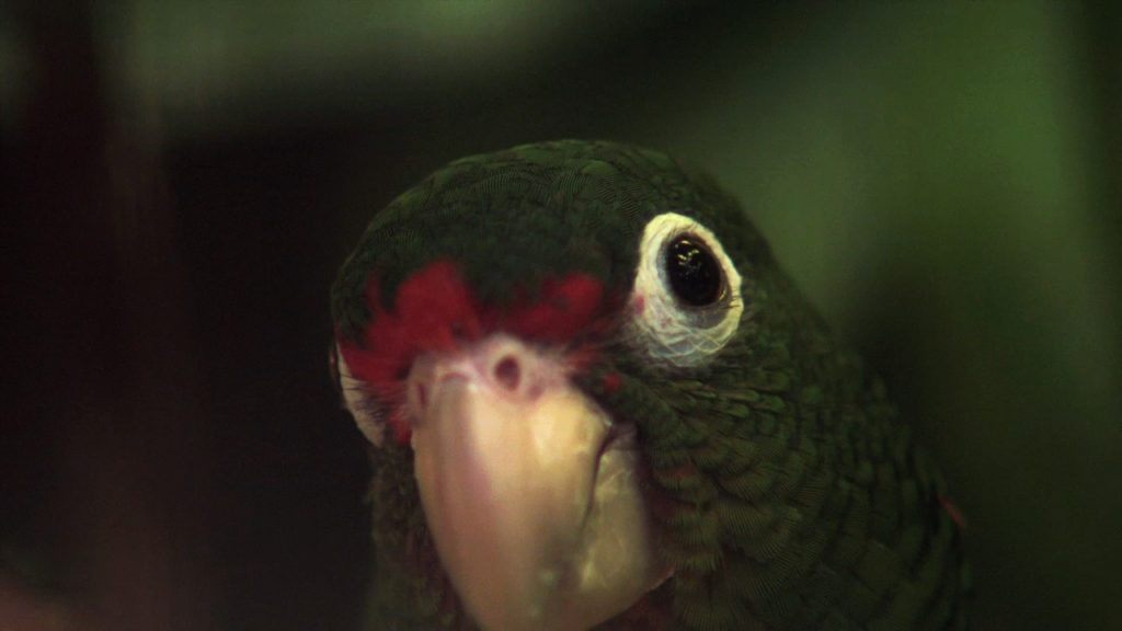 Allora-e-Calzadilla-1024x576