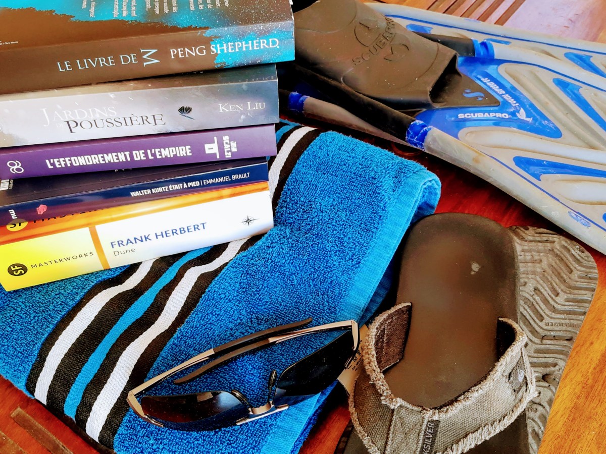 Cinq livres de science-fiction à lire cet été (édition&nbsp;2020)