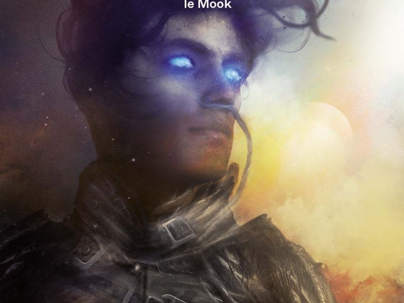 Dune le MOOK –  Collectif (sous la direction de Lloyd&nbsp;Chéry)