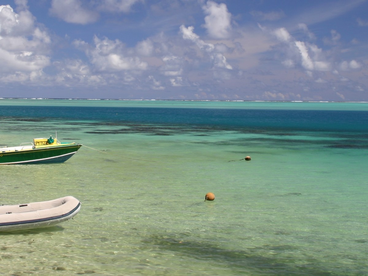 Cinq livres de science-fiction à lire  cet été (édition&nbsp;2022)