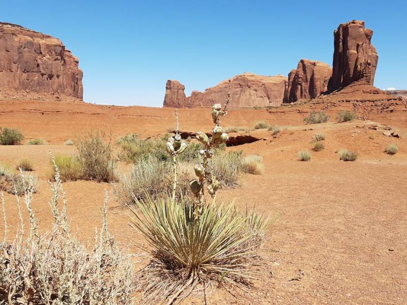 Cinq livres de science-fiction à lire cet été (édition&nbsp;2023)
